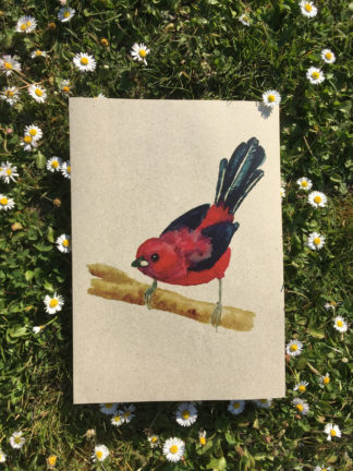 vogel-aquarell-bild-postkarte