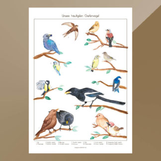 Unsere Gartenvögel - Poster